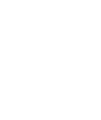 The Syria Campaign